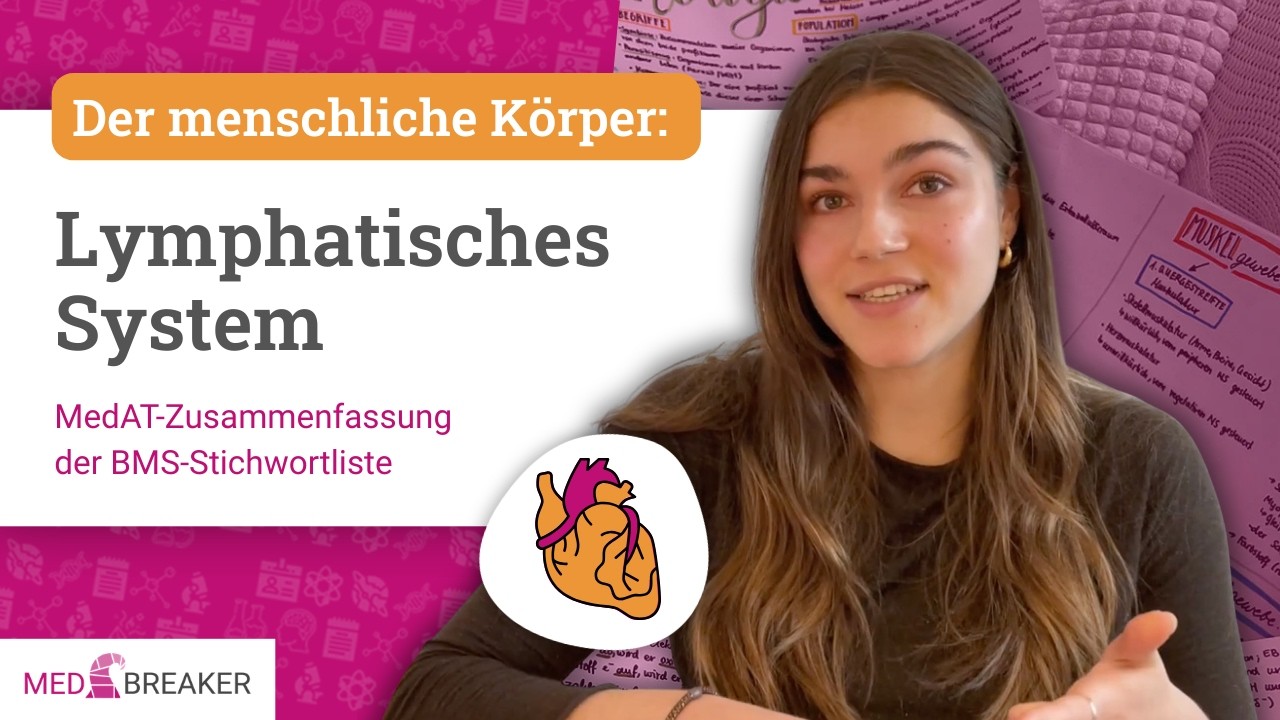 Lymphatisches System - Der menschliche Körper | MedAT-Zusammenfassung der BMS-Stichwortliste