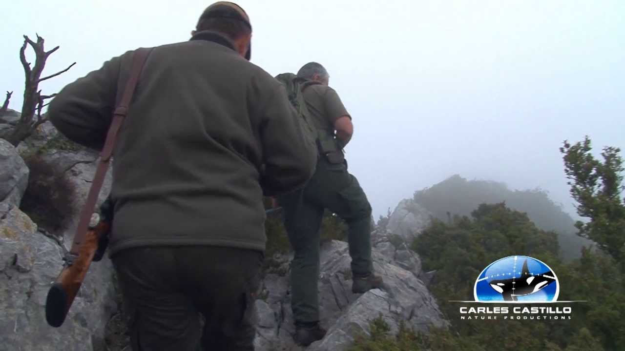Recechos de sarrio 4. CHAMOIS STALKING 4.