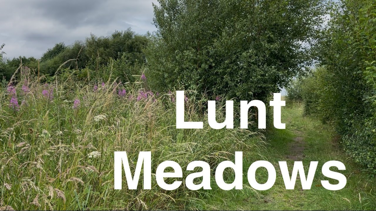 Relaxing nature walk around Lunt meadows. ASMR. No talking.