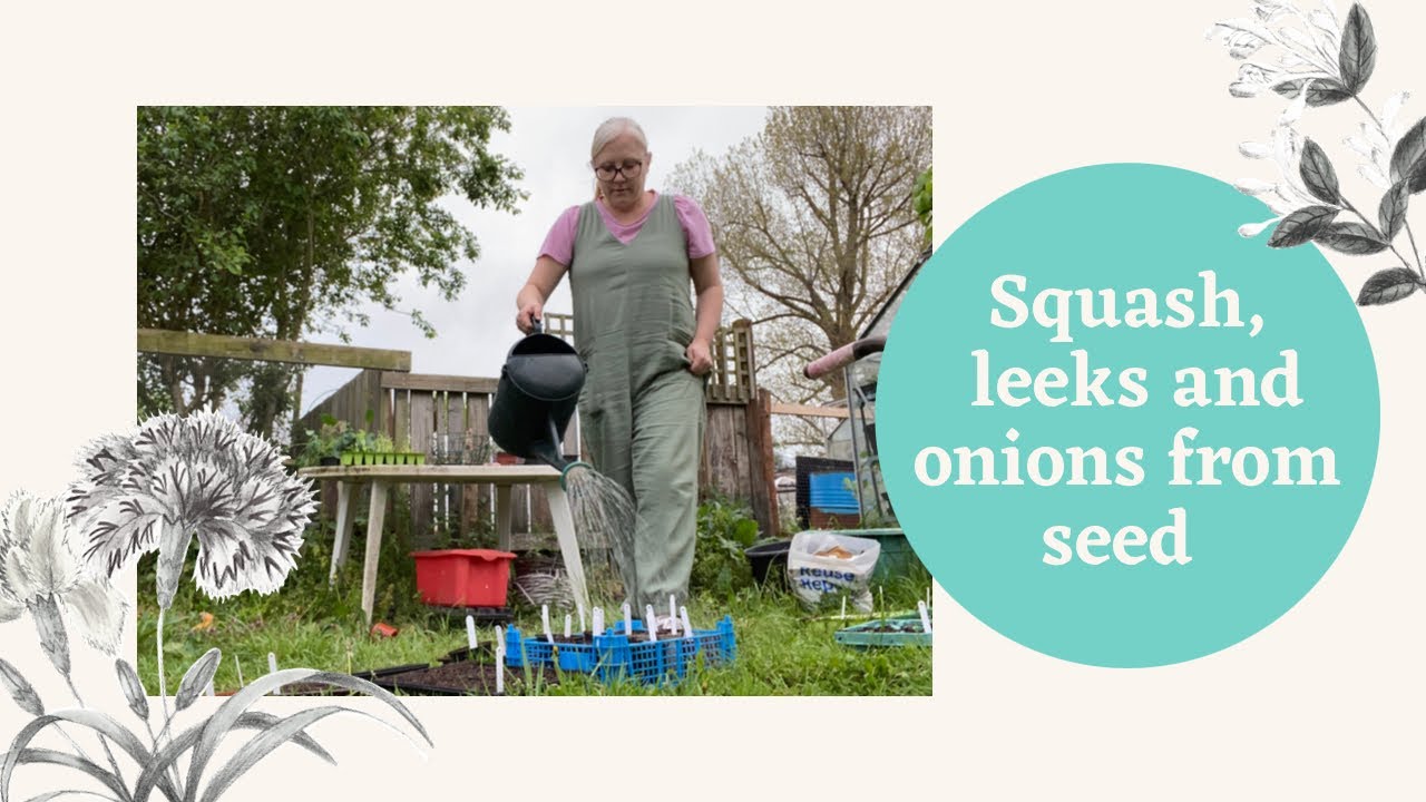 It finally rained and need some Leek advice! | Allotment Vlog