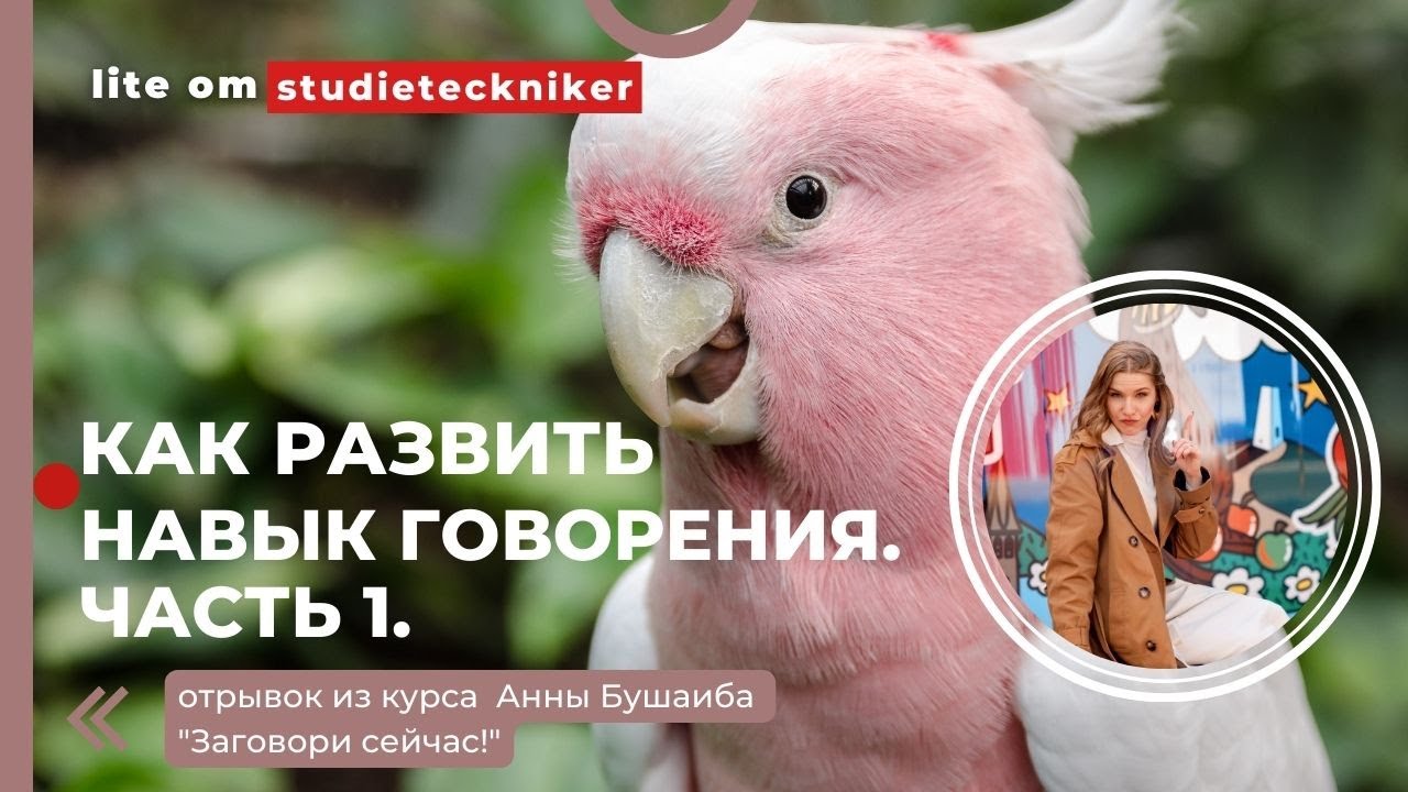 КАК РАЗВИТЬ НАВЫК ГОВОРЕНИЯ. ЧАСТЬ 1.