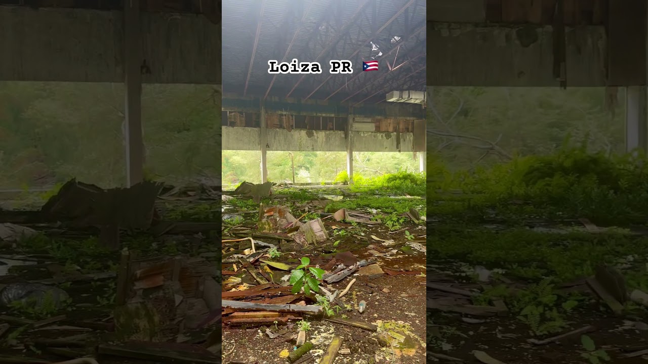 Naturaleza Apoder&aacute;ndose de Un Lugar en Loiza Puerto Rico 🇵🇷