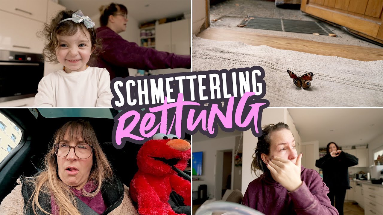 Elmo-Stadtrundfahrt & Kinderstress 🤯 , Spielplatz, Streit & am Ende retten wir einen Schmetterling