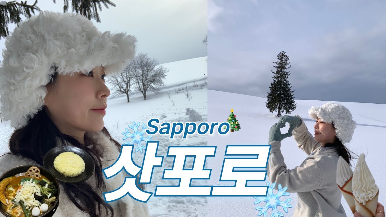 나혼자 겨울 삿포로여행❄️ 비에이투어,, 역시 삿포로의 상징이다🎄💚