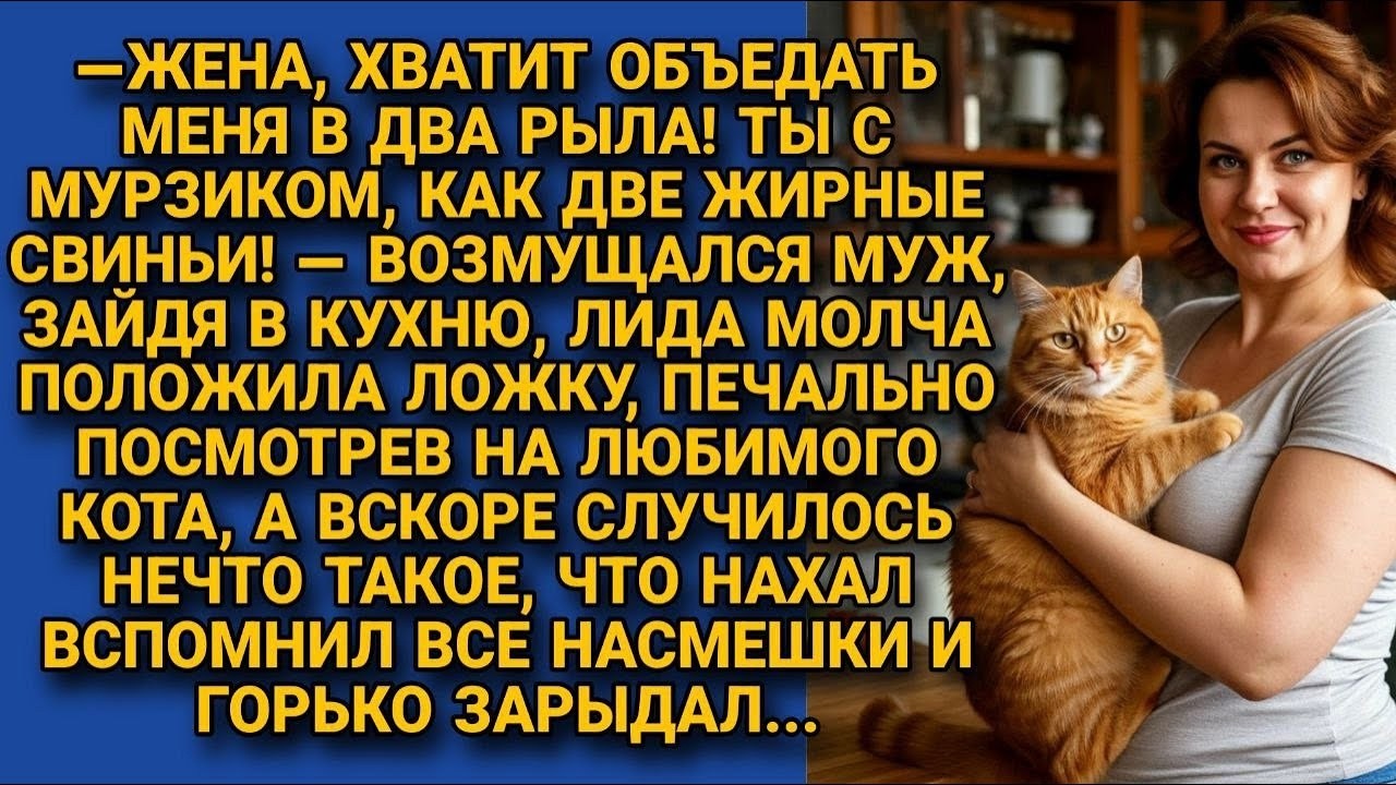 Муж принялся попрекать жену едой, но кот отомстил за всё...