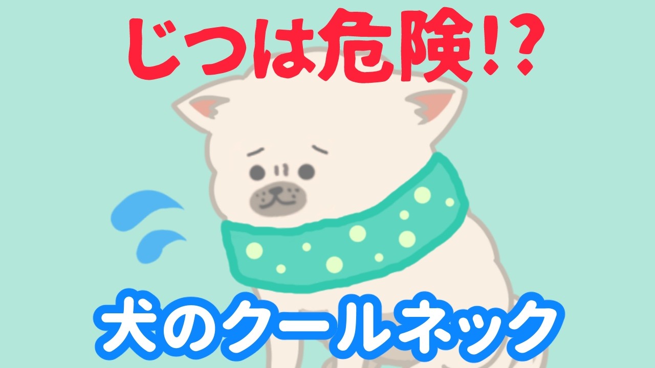 犬は扇風機だけじゃ涼しくない？犬の間違った暑さ対策