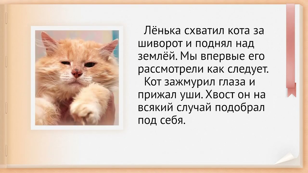 Литературное чтение 3 класс. К. Паустовский «Кот-ворюга»