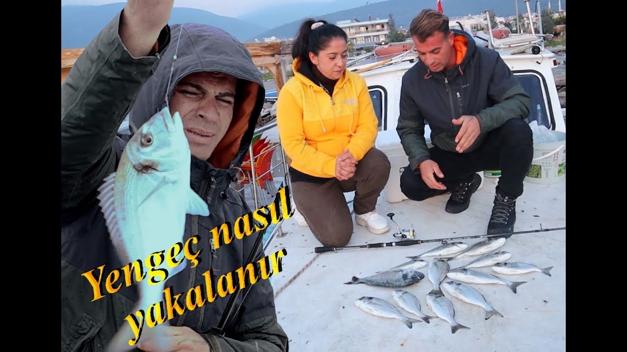 Çipura, Yengeç le nasıl yakalanır ? ( Yengeç nasıl toplanır ) #tekneavı