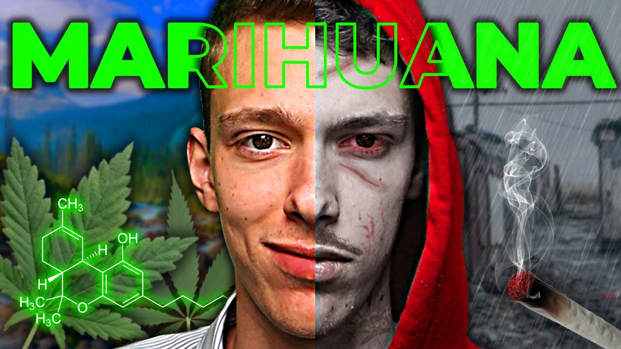 Co se ve skutečnosti děje, když KOUŘÍŠ MARIHUANU?!