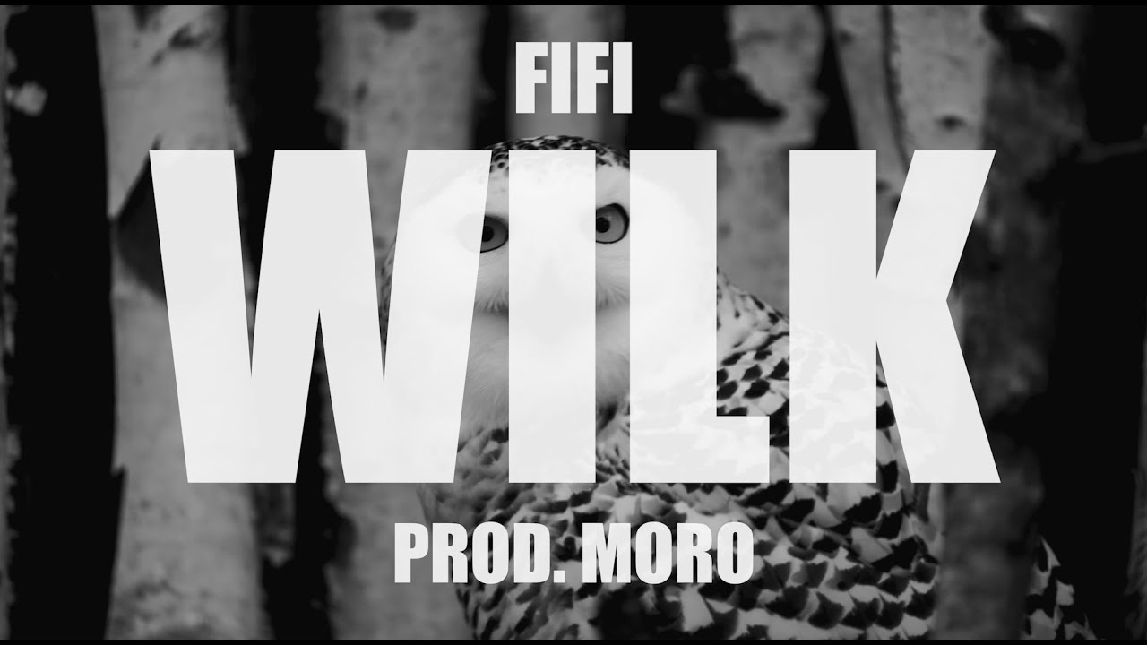 Fifi - WILK 🐺