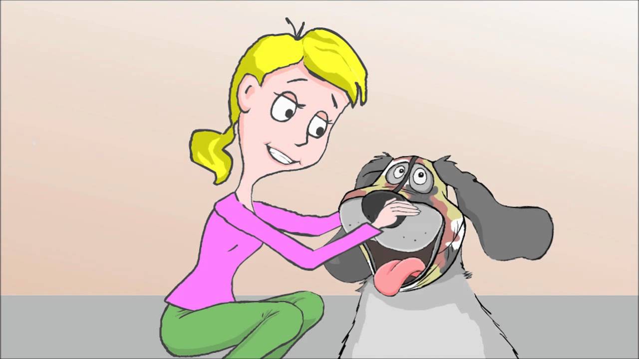 How To Stop Dog Drool and Slobber from your dog breed. Drooling slobbering