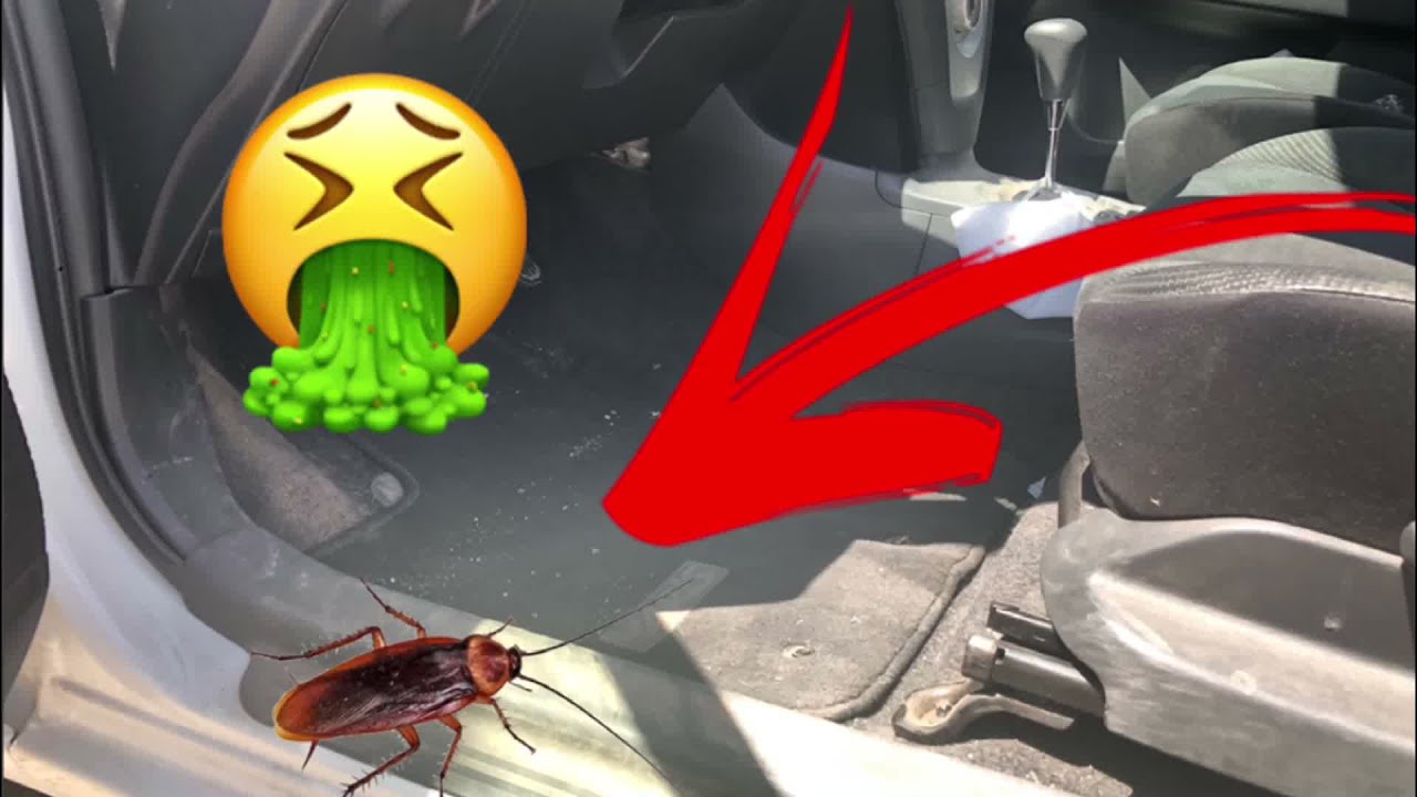 Limpieza de tapicería básica Toyota Yaris - El Franelas