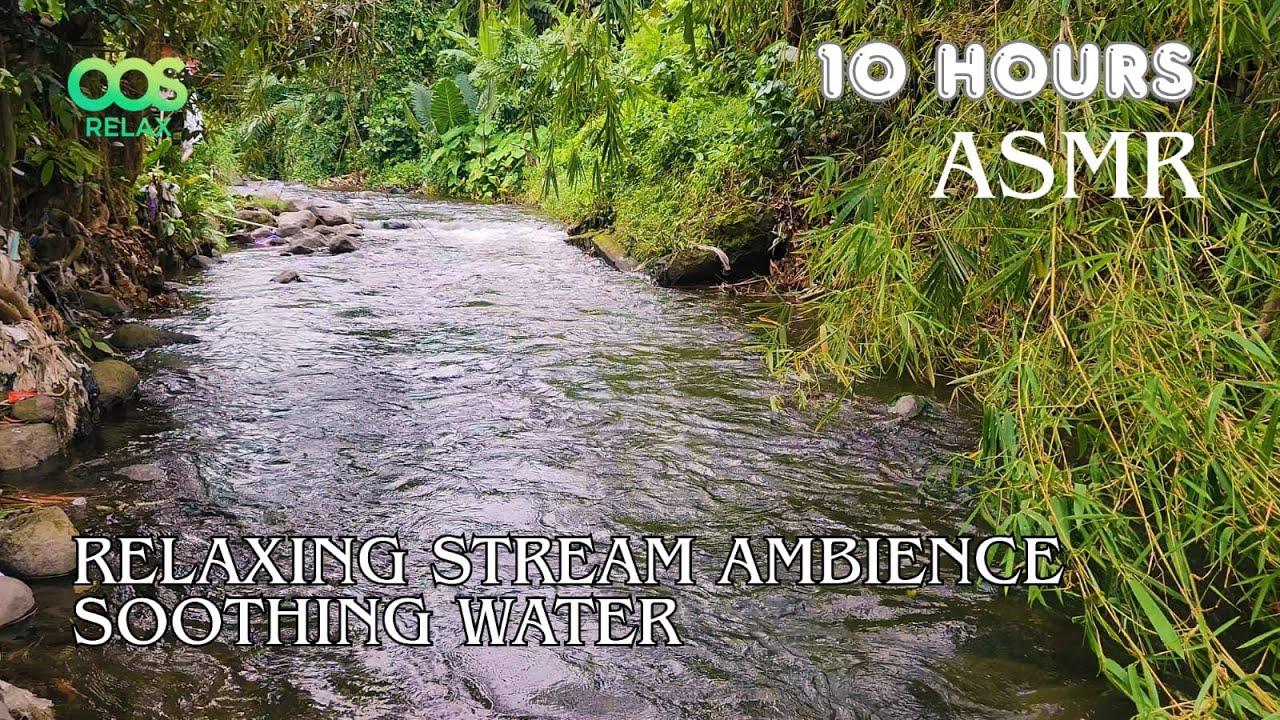 ASMR Relaxing Stream Ambience Soothing Water Sounds for Sleep