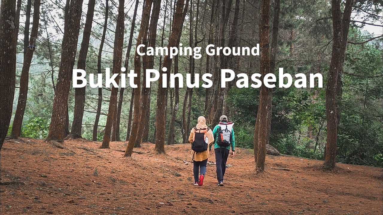 Bukit Pinus Paseban Camping Ground , Megamendung Bogor