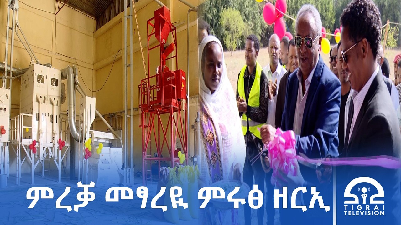ብመዓልቲ ልዕሊ 600 ኩንታል ምሩፅ ዘርኢ ዘፃሪ ማሽን ኣብ ከተማ መቐለ ተመሪቑ።