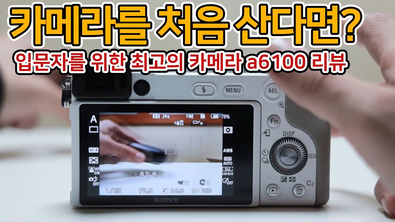 Sony A6100 개봉기 및 실사용후기! 사진, 동영상 모두 촬영해 보았습니다 feat. a6100, a6400, a6600 고민 중이라면