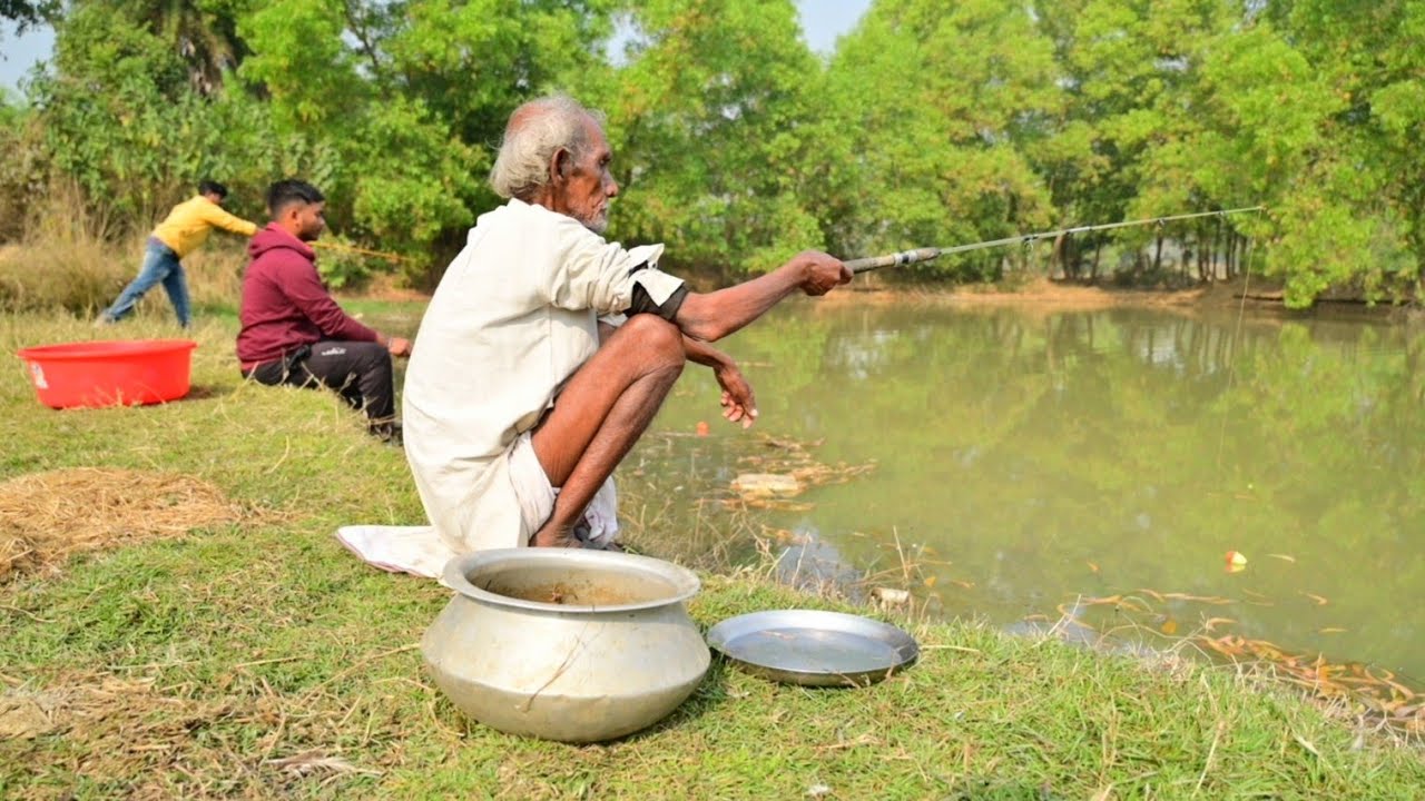 Fishing Video || Grandfather is catching fish in the pond with two fishermen from the village
