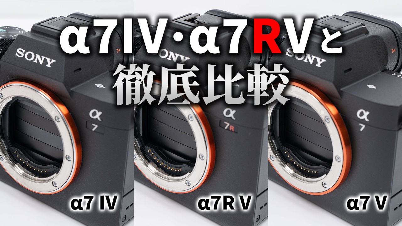 SONY α7 V 実機レビュー｜α7 IV・α7R Vと徹底比較