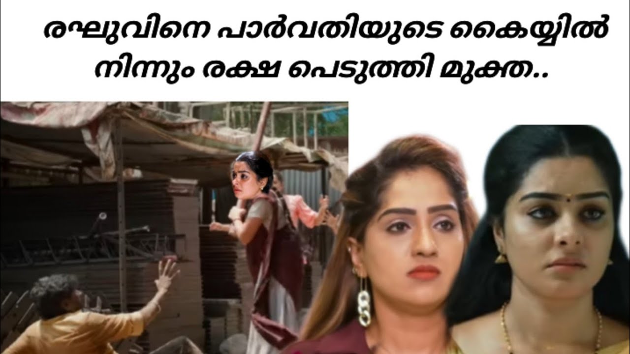 രഘുവിനെ തല്ലി ചതച്ച്‌ പാറു 