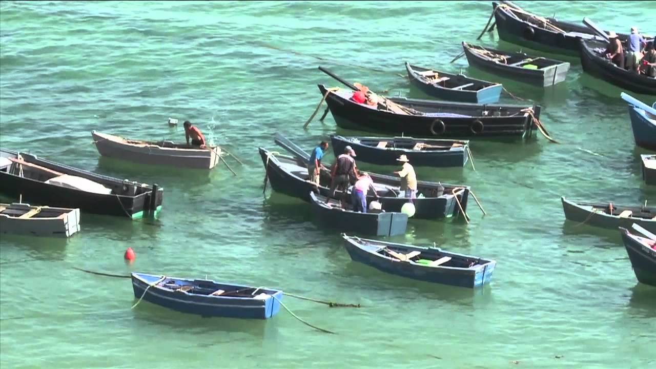 Morocco: Fishing Cooperatives