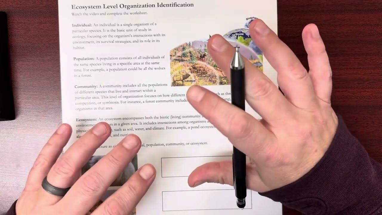 Ecosystem Level Organization Identification