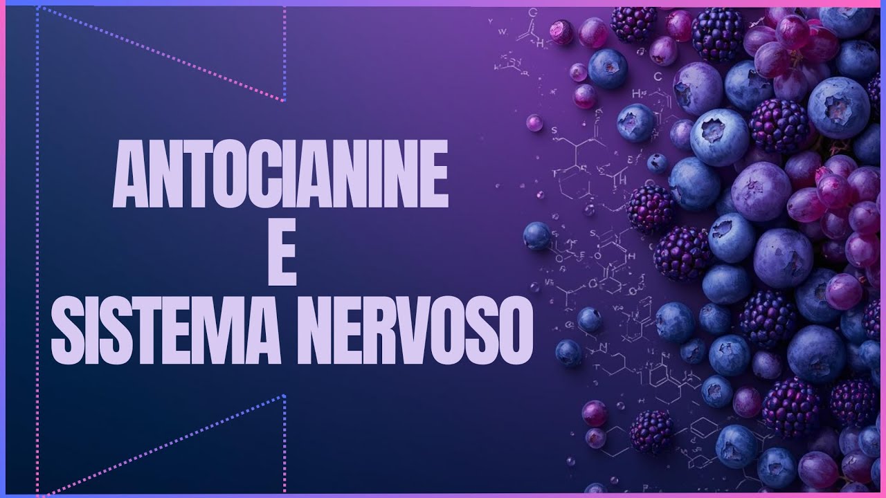 ANTOCIANINE E CERVELLO: Come possono aiutare il tuo sistema nervoso