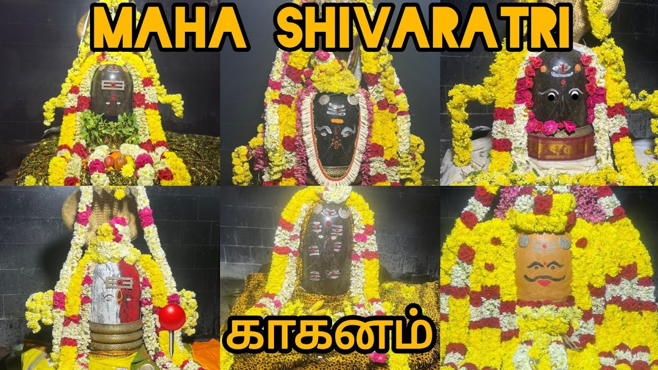 அருள்மிகு அங்கயற்கண்ணி உடனுறை அகத்தீஸ்வரர் ஆலயம் | காகனம் | வெம்பாக்கம் வட்டம் மகா சிவராத்திரி விழா