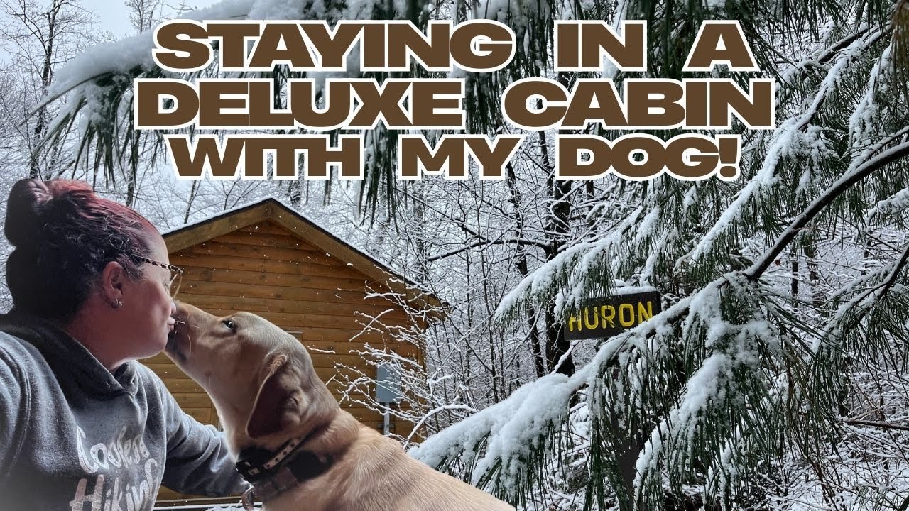 Staying in a Deluxe Cabin with My Dog ~ Ricketts Glen State Park PA