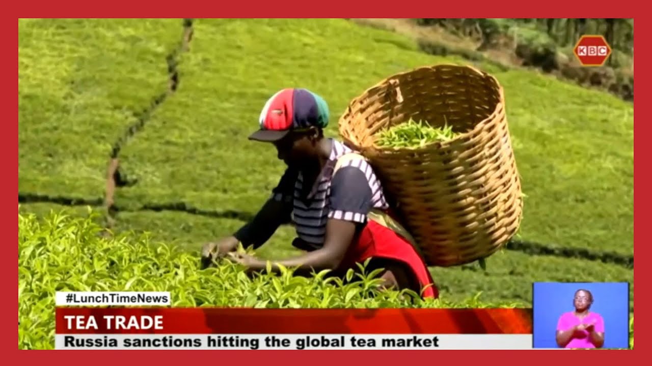 Sanctions imposed on Russia are hitting the global tea market