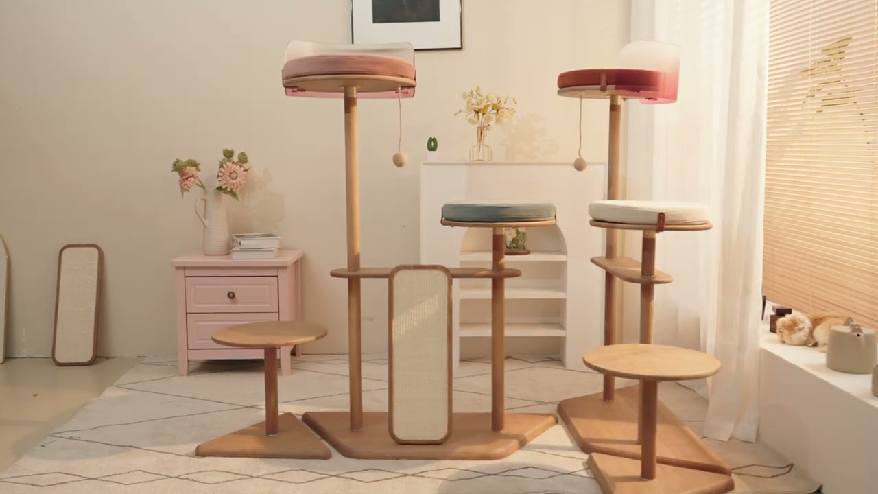 How to Assemble the Weimiao Cat Play Tower | Quick & Tool-Free Installation Guide