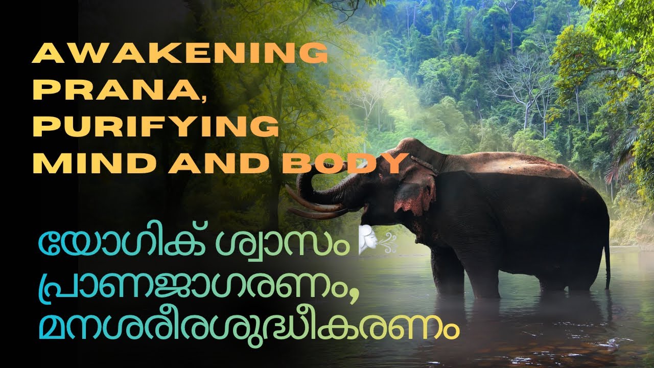 യോഗിക് ശ്വാസം - പ്രാണജാഗരണം, മനശരീര ശുദ്ധീകരണം | Yogic Awakening Prana, Purifying Mind and Body”
