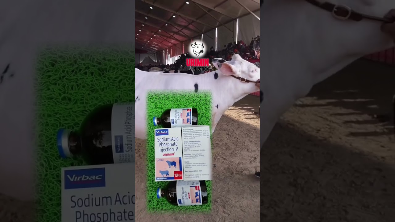 Urimin injection veterinary use