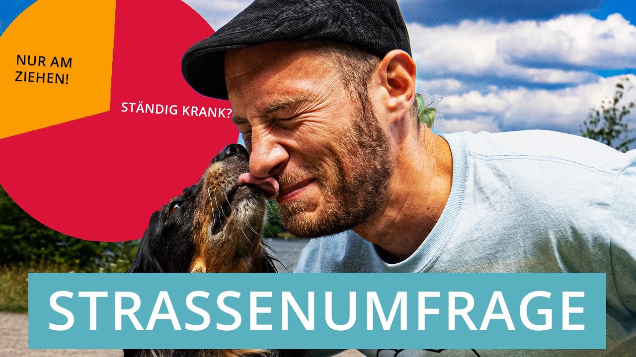 Mischlingshunde-Mythen AUFGEDECKT! | Stra&szlig;enumfrage
