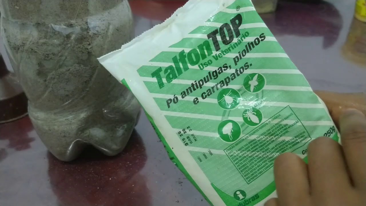 Piolho,pulgas e pichininga - Talfon #galinha #piolho #galinheiro