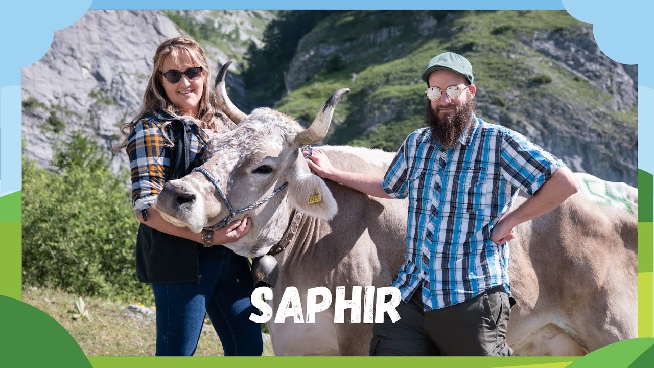 rro-Brüüna 2023 I Kuh «Saphir» von Christa und Eugen Schmidt aus Grengiols