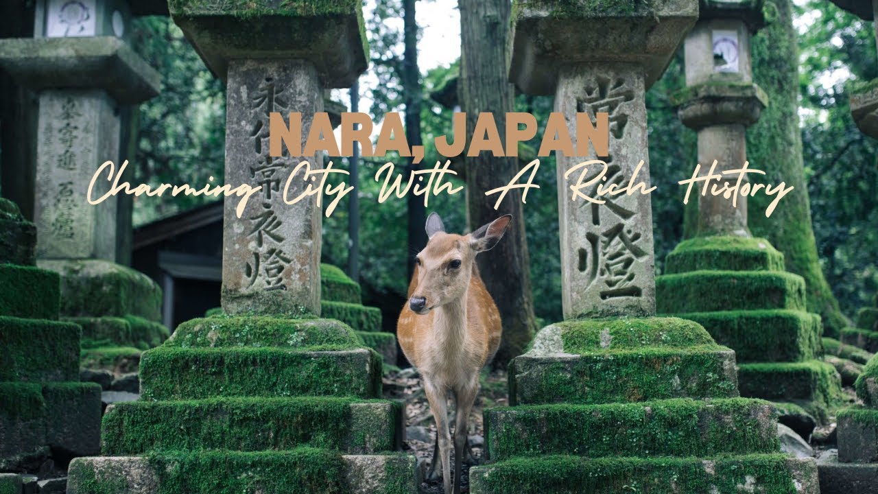 Exploring Nara Part 1: Japan’s City of Bowing and Wild Attacking Deer 🇯🇵