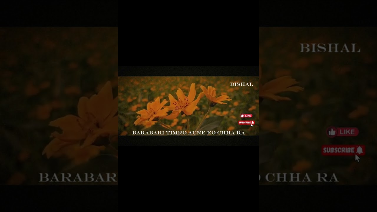 Sundartako timi udhaharan hou ❤️