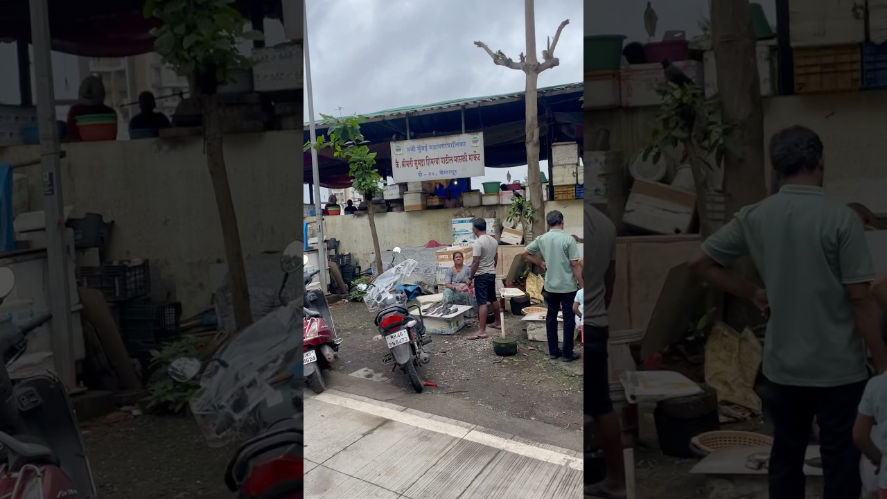 Belapur fish market, Navi Mumbai 