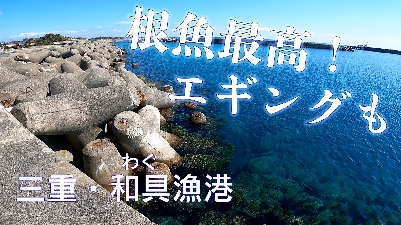 【釣り場動画#91】アコウやメバルの根魚やエギングでアオリイカが狙える三重県の和具漁港