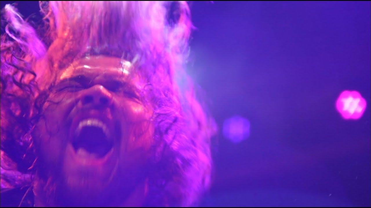 Joshua & The Holy Rollers  |  What You Need (Official Music Video)