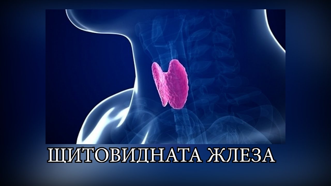 Болестите на щитовидната жлеза