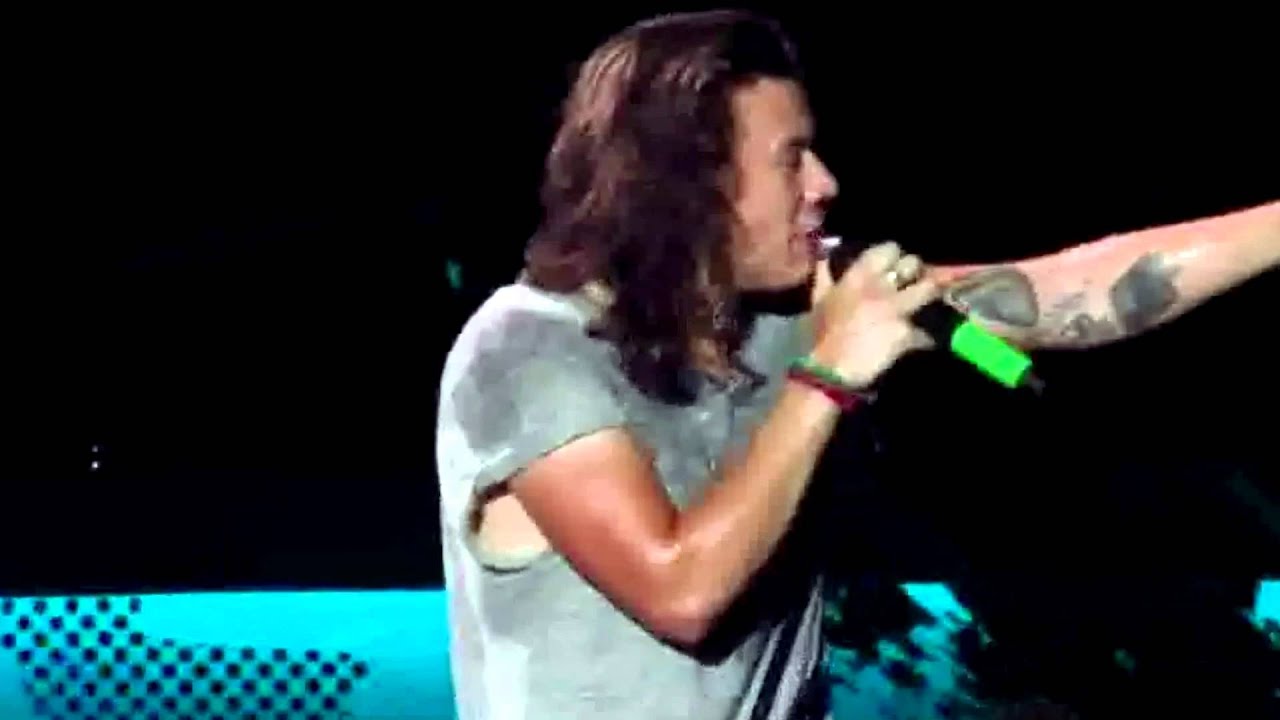Harry's reaction when fan asked him to take off his shirt
