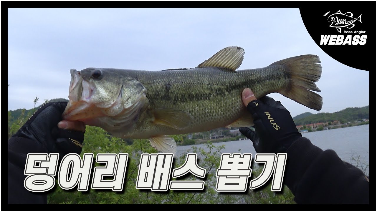 [배스낚시] 성내지 덩어리 배스 뽑기. Ep.69 위배스
