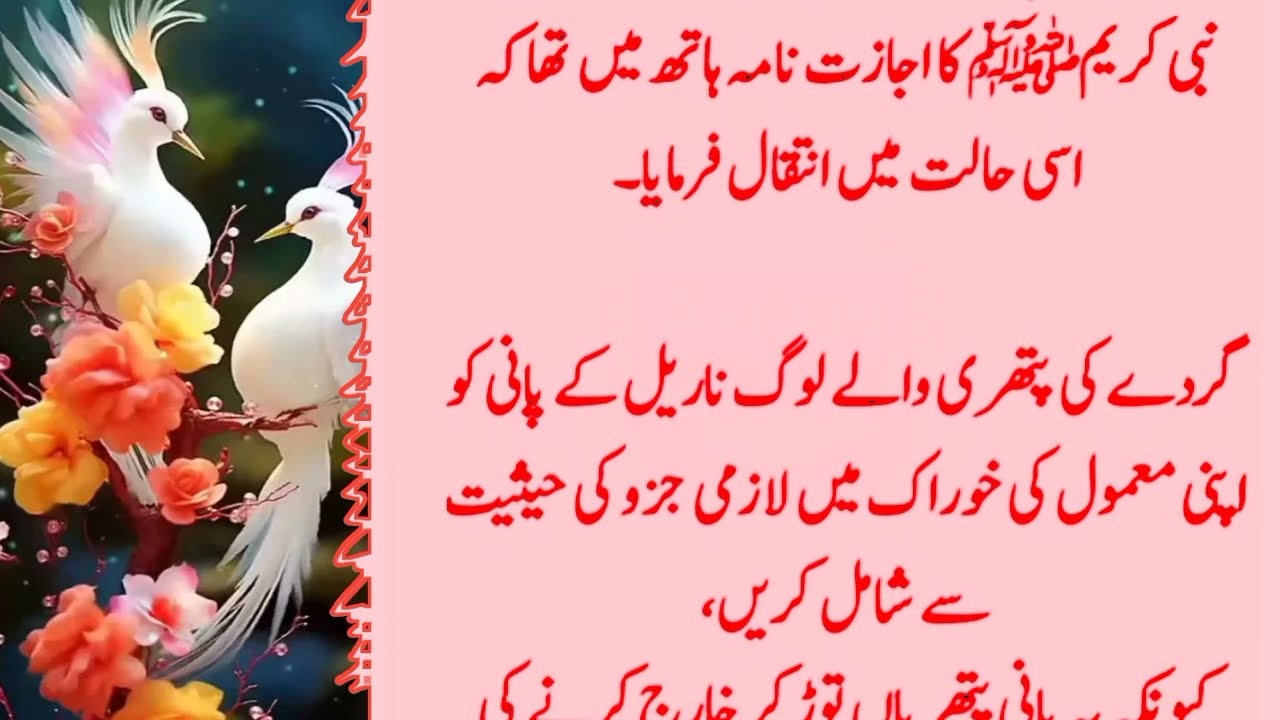 Best Rumi Quotes | Best Quotes About Life / Hazrat Ali /Sunhary Haroof/Golden words/