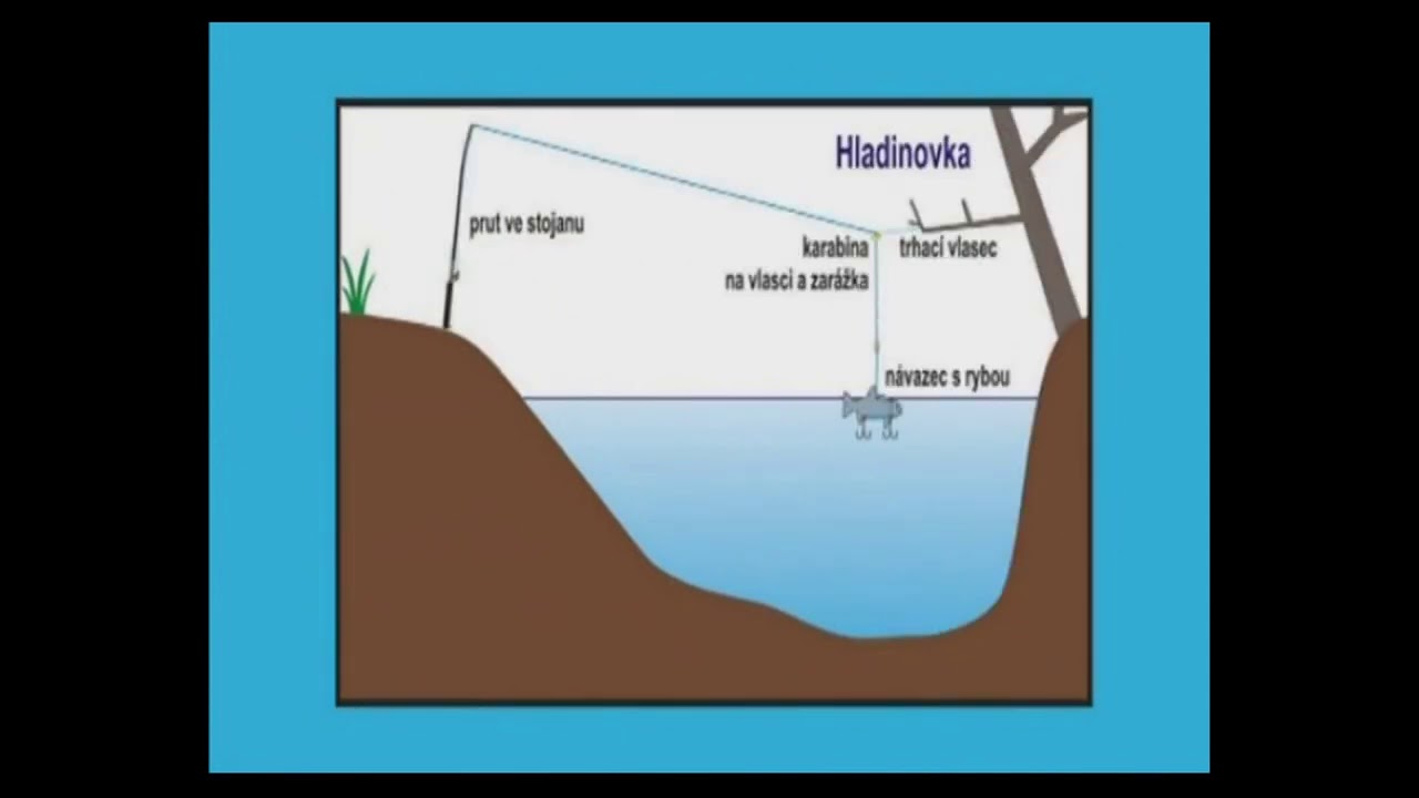 Jak na sumce (způsoby lovu)