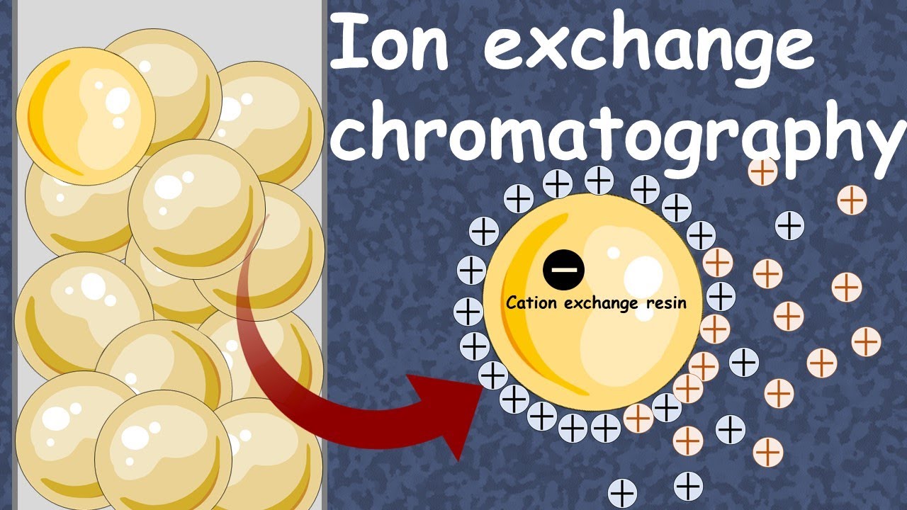 Ion Exchange Chromatography | Cation exchange chromatography | anion exchange chromatography