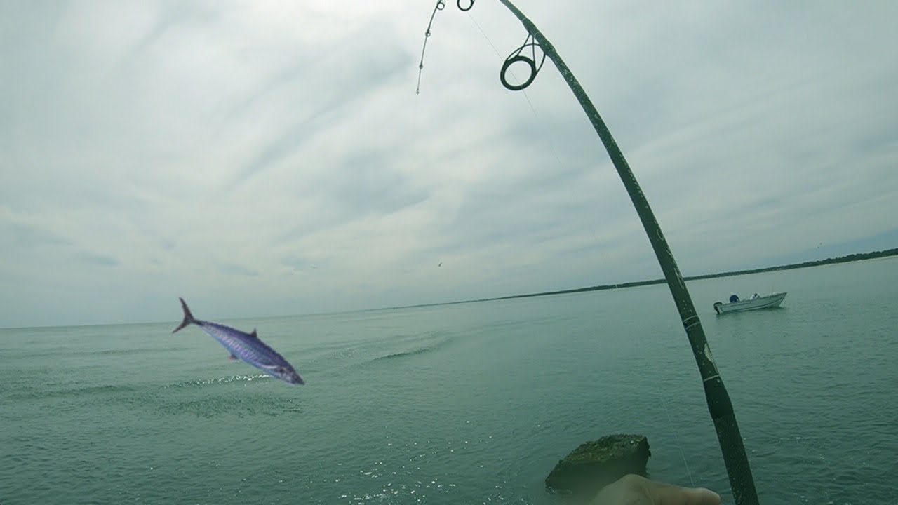MURRELLS INLET, SC JETTY FISHING #fishing #spanishmackerel #jettyfishing  #saltlife