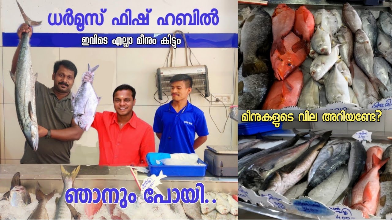 Dharmoo's fish hub kochi 🐟🐟🐟. ധർമ്മജൻ ബോൾഗാട്ടിയുടെ മീൻ കട.🐟🐟 എല്ലാ വെറൈറ്റി മീനുകളും ഇവിടെ ഉണ്ട്.🐟🐟