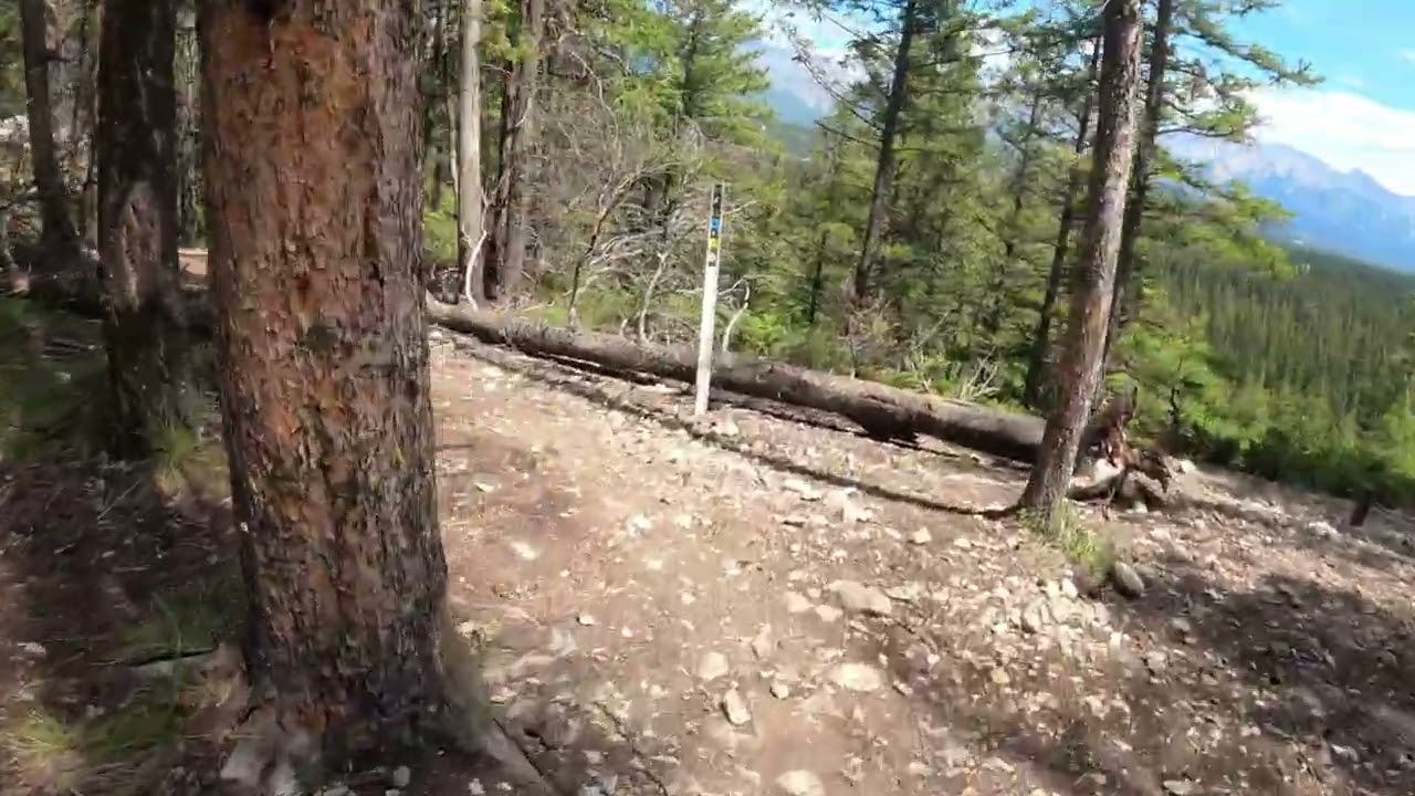 Star wars MTB trail  in banff &ldquo;Amazing&rdquo;