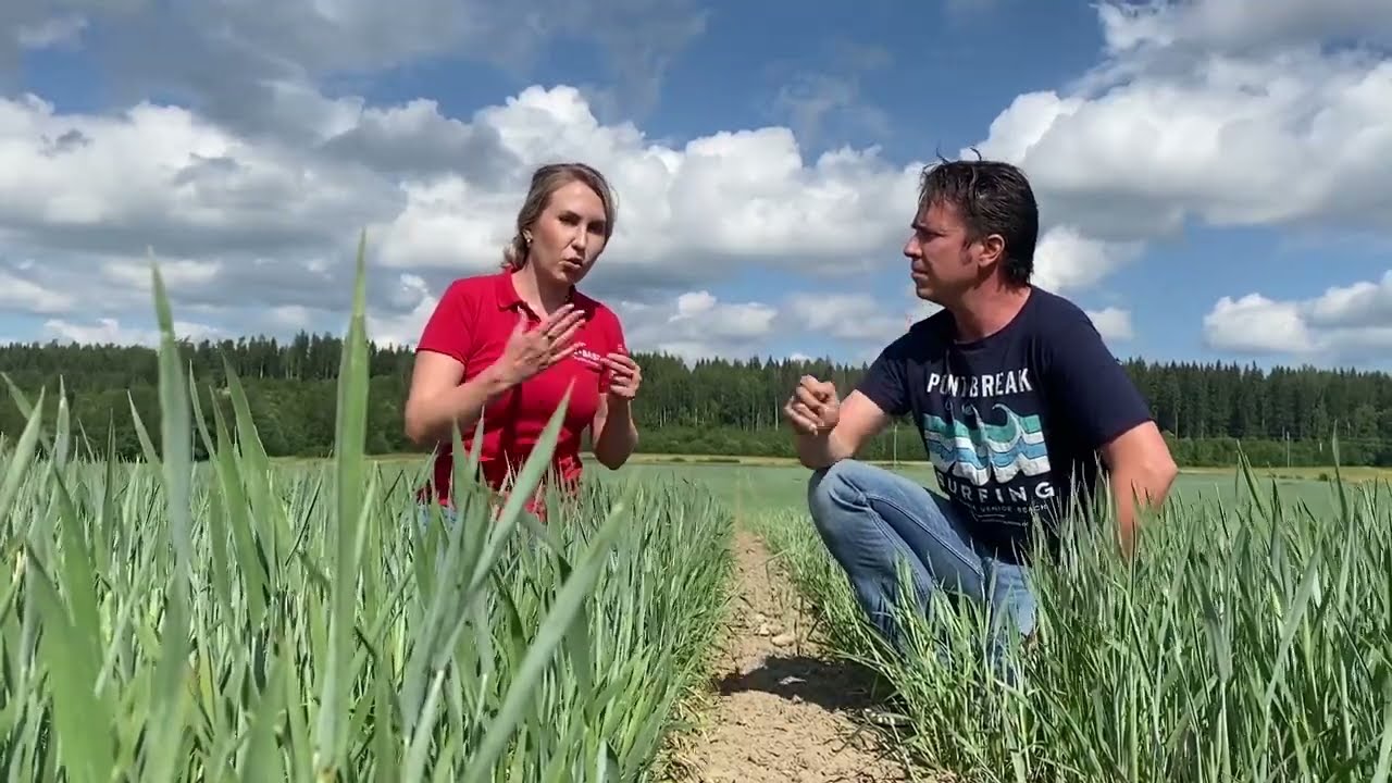 Revytrex käyttäjäkokemuksia Vihdistä